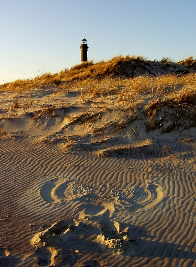 Sand angel